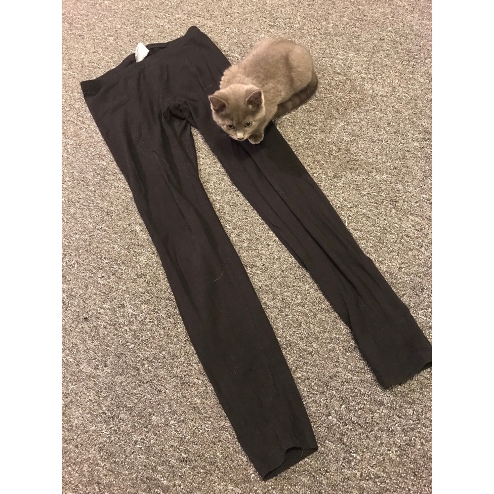Standard Black Cotton Leggings